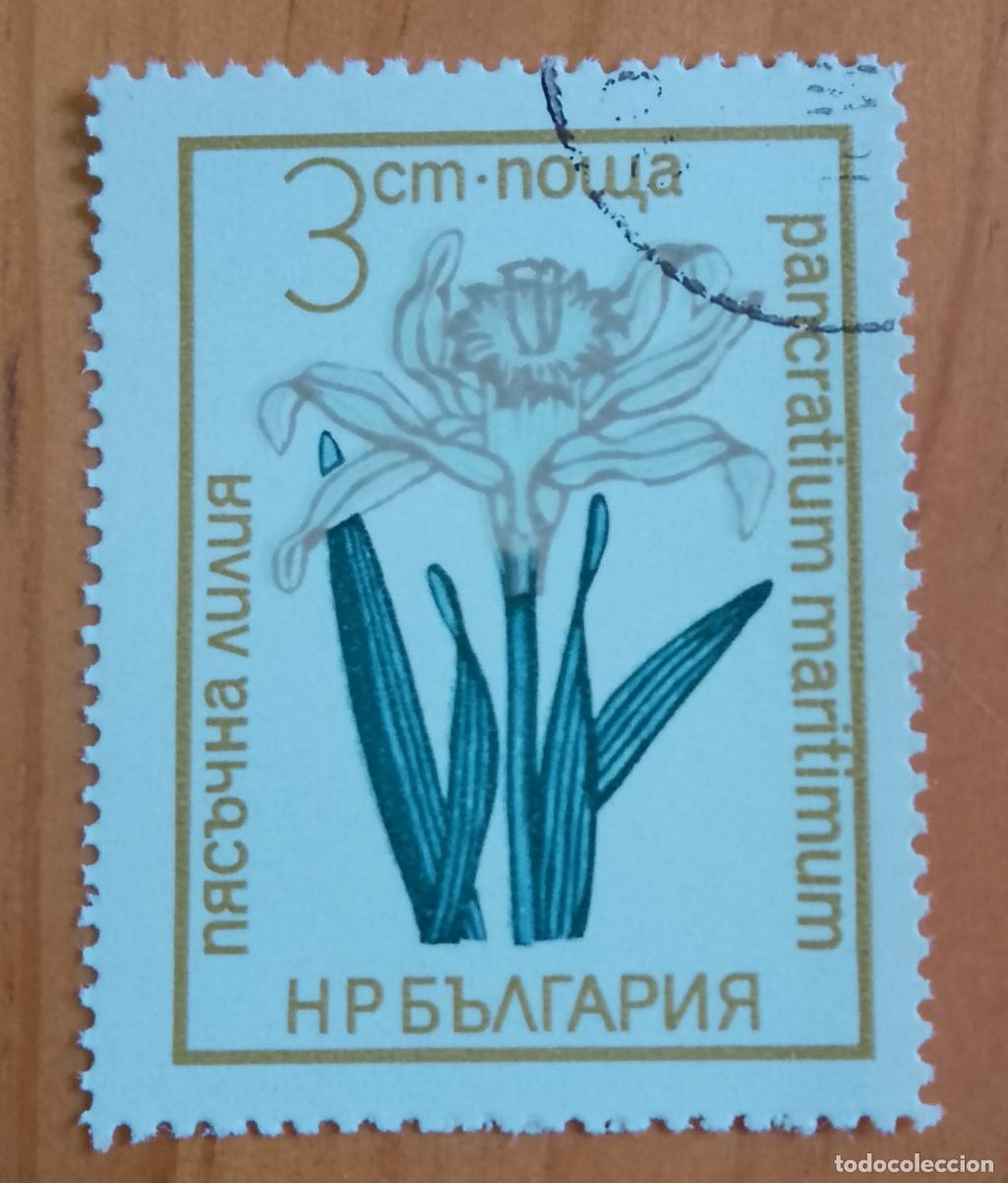 Sellos: BULGARIA - V/F 3 CM - VER DESCRIPCI&Oacute;N