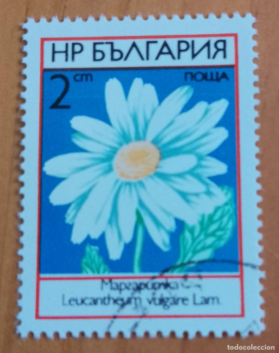 Sellos: BULGARIA - V/F 2 CM - VER DESCRIPCI&Oacute;N