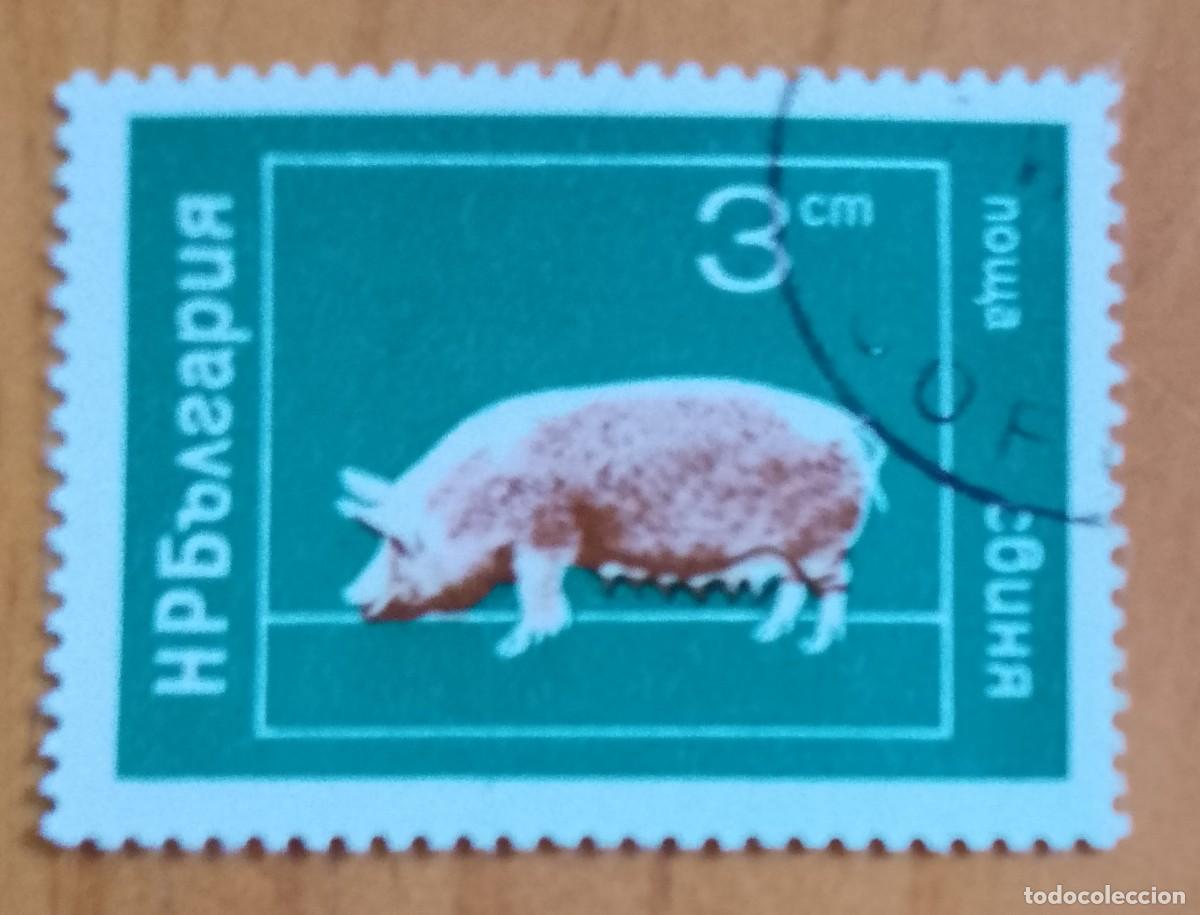 Sellos: BULGARIA - V/F 3 CM - VER DESCRIPCI&Oacute;N