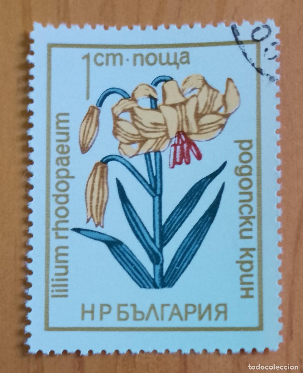 Sellos: BULGARIA - V/F 1 CM - VER DESCRIPCI&Oacute;N