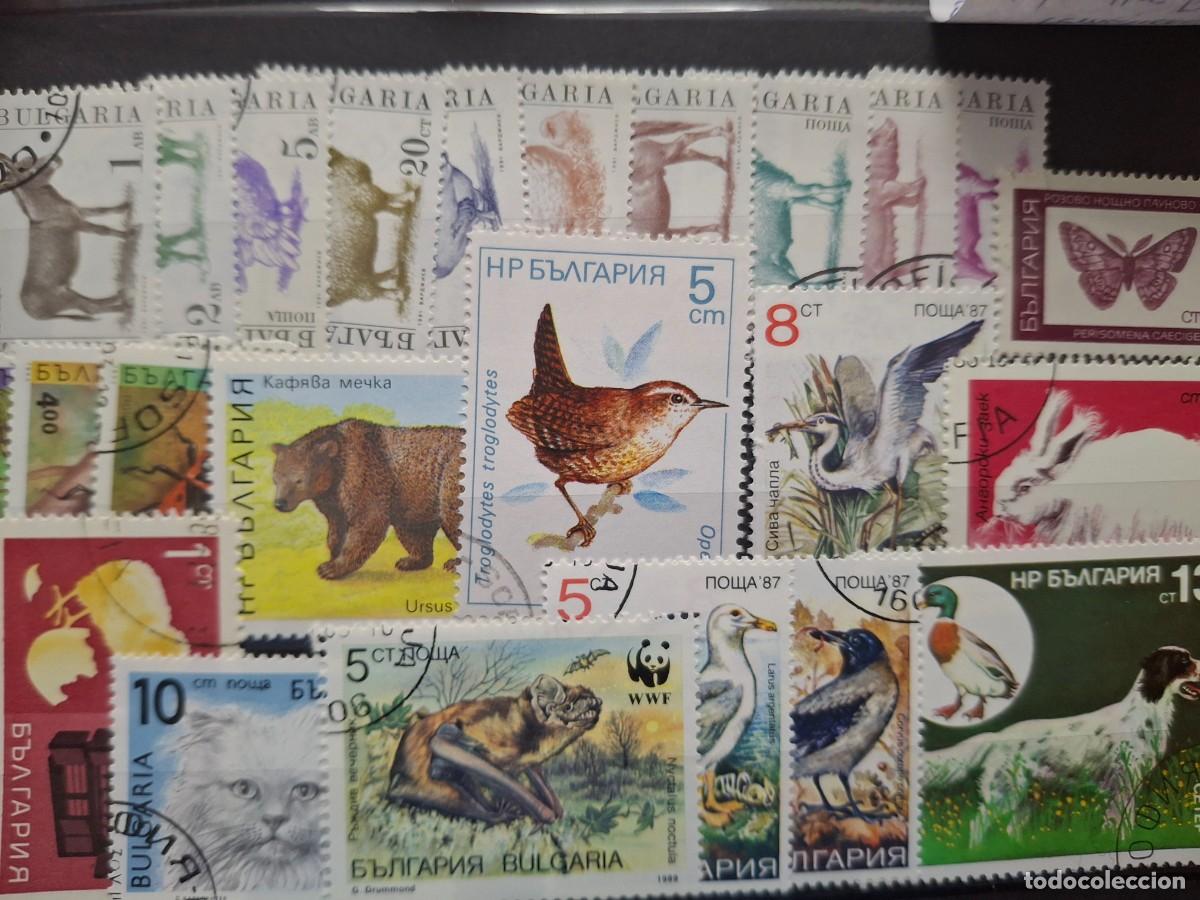 Selos: HB1136 SELLOS BULGARIA ideal para tematicas (LEER DESCRIPCION)