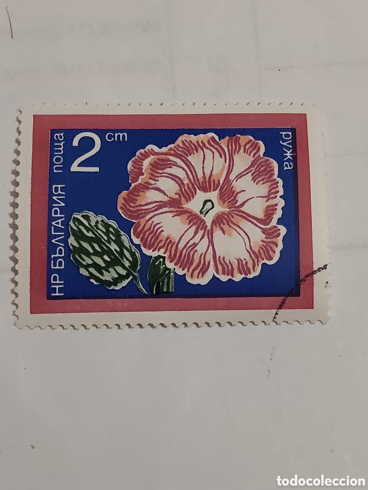 Stamps: Sello de Bulgaria flores de jard&iacute;n 1974