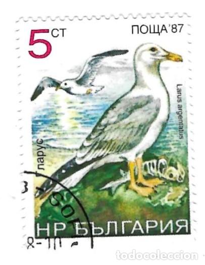 Sellos: Sello usado Bulgaria. n&ordm; 3667. P&aacute;jaros. Gaviota Argentea. ref. 2-bul3667