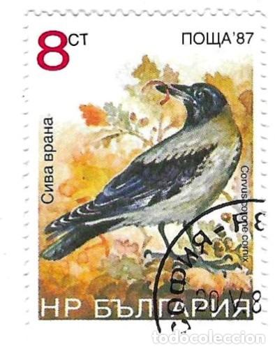 Sellos: Sello usado Bulgaria. n&ordm; 3669. P&aacute;jaros. Cornejo Cenicienta. ref. 2-bul3669