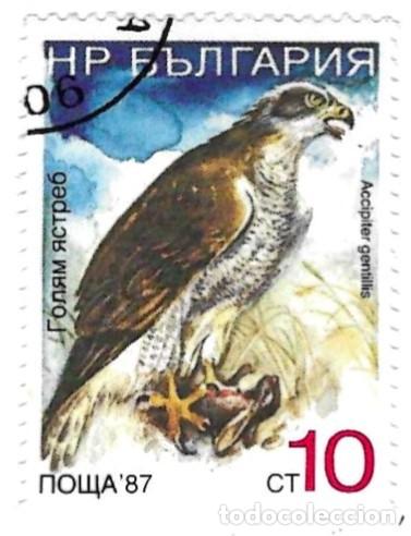 Sellos: Sello usado Bulgaria. n&ordm; 3671. P&aacute;jaros. Azor. ref. 2-bul3671
