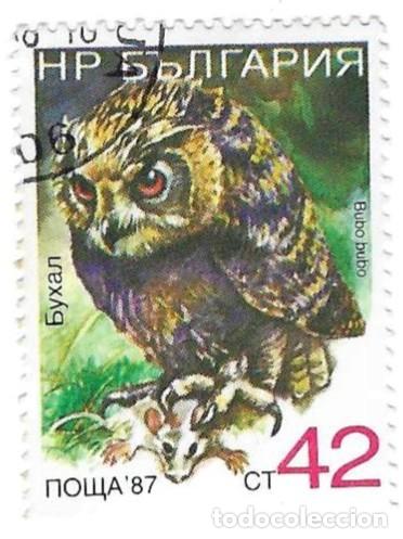 Sellos: Sello usado Bulgaria. n&ordm; 3672. P&aacute;jaros. B&uacute;ho Real. ref. 2-bul3672