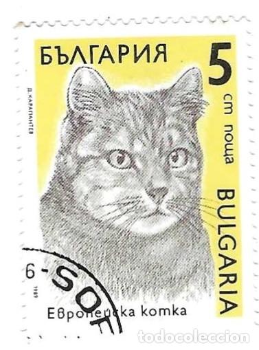Sellos: Sello usado Bulgaria. n&ordm; 3822. Gatos. Europeo. ref. 2-bul3822