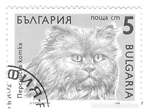 Sellos: Sello usado Bulgaria. n&ordm; 3823. Gatos. Persa. ref. 2-bul3823