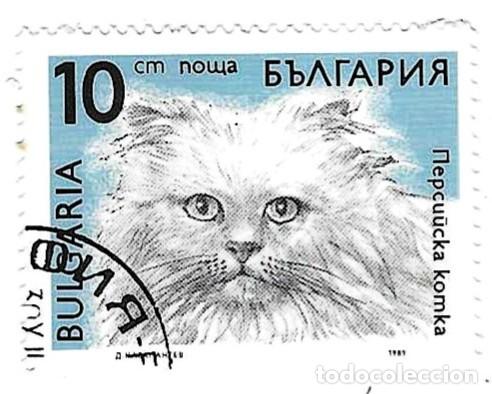 Sellos: Sello usado Bulgaria. n&ordm; 3826. Gatos. Persa. ref. 2-bul3826