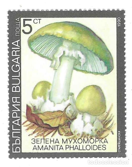Sellos: Sello usado Bulgaria. n&ordm; 3900. Setas Venenosas. Hongo de la muerte. ref. 2-bul3900