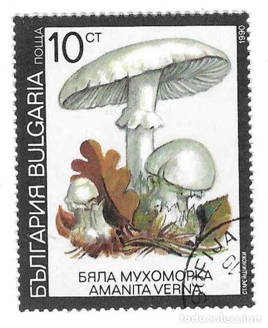 Sellos: Sello usado Bulgaria. n&ordm; 3901. Setas Venenosas. Amanito de Primavera. ref. 2-bul3901