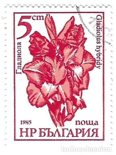 Sellos: Sello usado Bulgaria. n&ordm; 3415. Flores de Jard&iacute;n. Gladiolos. ref. 2-bul3415