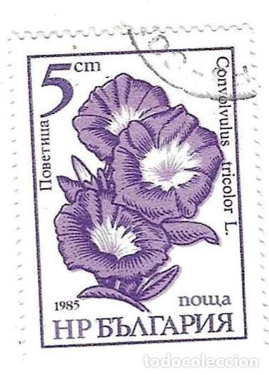 Sellos: Sello usado Bulgaria. n&ordm; 3416. Flores de Jard&iacute;n. Bella de D&iacute;a. ref. 2-bul3416