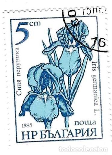 Sellos: Sello usado Bulgaria. n&ordm; 3417. Flores de Jard&iacute;n. Lirio Azul. ref. 2-bul3417