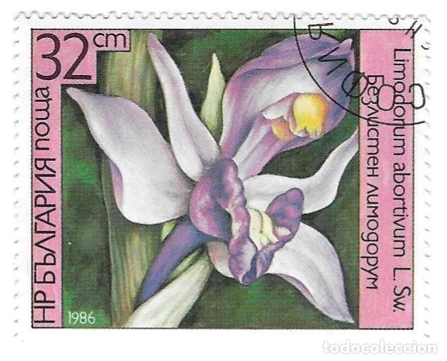 Sellos: Sello usado Bulgaria. n&ordm; 3454. Orqu&iacute;deas. Limodorum abortivum. ref. 2-bul3454
