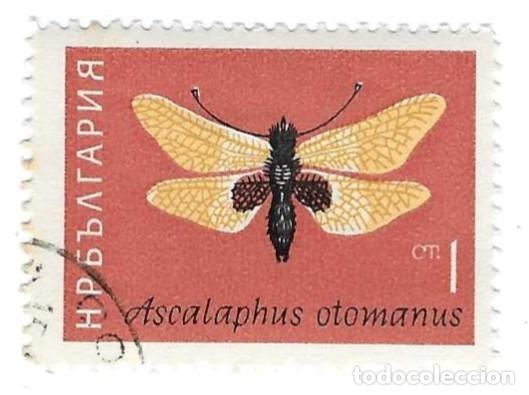 Sellos: Sello usado Bulgaria. n&ordm; 1439. Insectos. Mosca B&uacute;ho. ref. 2-bul1439
