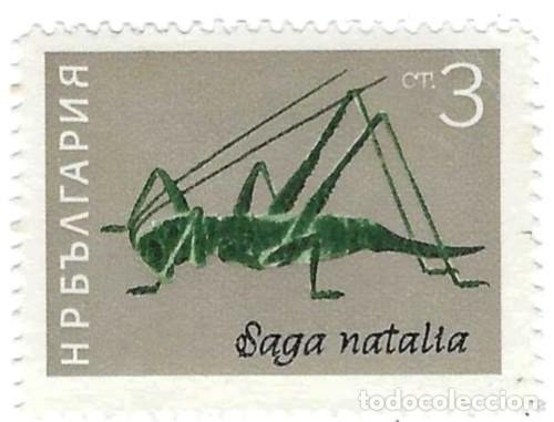 Sellos: Sello usado Bulgaria. n&ordm; 1441. Insectos. Saltamontes. ref. 2-bul1441