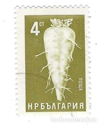 Sellos: Sello usado Bulgaria n&ordm; 1517. Productos Agr&iacute;colas. Remolacha Azucarera. ref. 2-bul1517