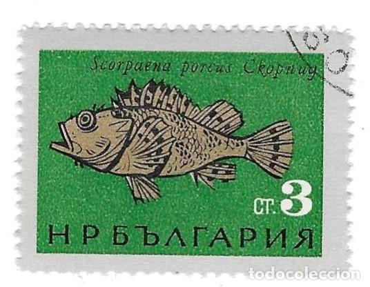Sellos: Sello usado Bulgaria. n&ordm; 1538. Peces. Pez Escarpi&oacute;n negro. ref. 2-bul1538