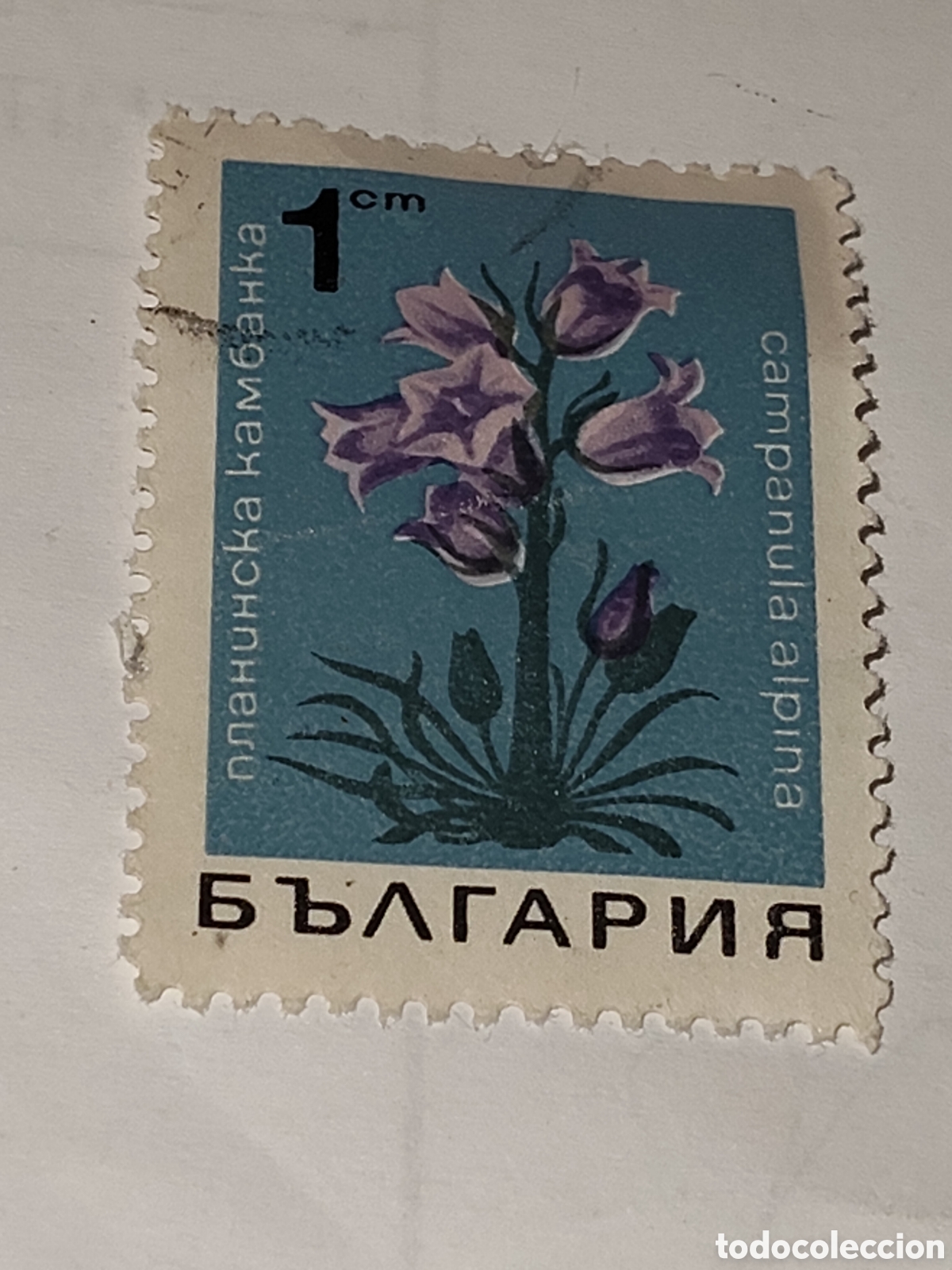 Sellos: Sello de Bulgaria Flora Campanilla Alpina 1968