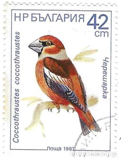 Sellos: Sello usado Bulgaria. n&ordm; 3621. P&aacute;jaros Cantores. Picogordo. ref. 2-bul3621