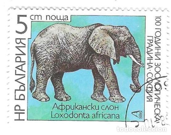 Sellos: Sello usado Bulgaria. n&ordm; 3673. Centenario Zoo de Sofia. Elefante Africano. ref. 2-bul3673