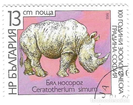 Sellos: Sello usado Bulgaria. n&ordm; 3674. Centenario Zoo de Sofia. Rinoceronte Blanco. ref. 2-bul3674