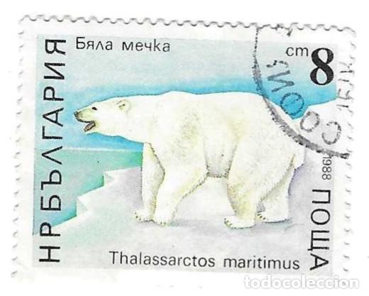Sellos: Sello usado Bulgaria. n&ordm; 3714. Osos. Polar. ref. 2-bul3714