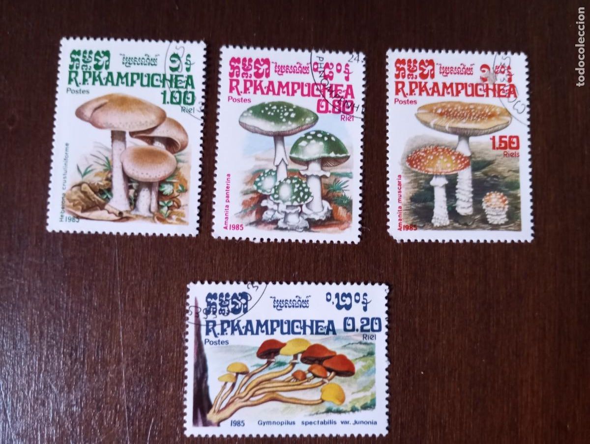Sellos: CAMBOYA 1985, SETAS. . - Foto 1