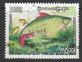 Sellos: CAMBOYA, SELLO USADO - Foto 1