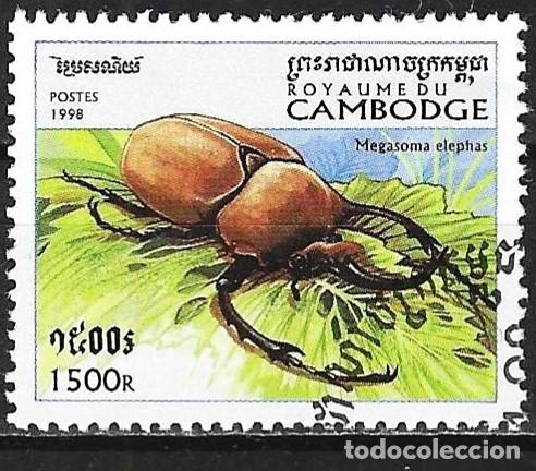 Sellos: Camboya 1998 - Mi 1825 - YT 1569 - Insecto : Escarabajo