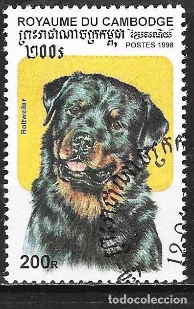 Sellos: Camboya 1998 - Mi 1814 - YT 1515 - Fauna : Perro Rotweiler