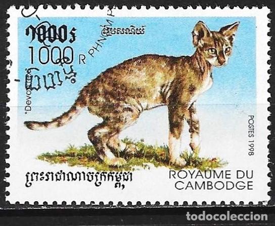 Sellos: Camboya 1998 - Mi 1841 - YT 1527 - Fauna : Gato
