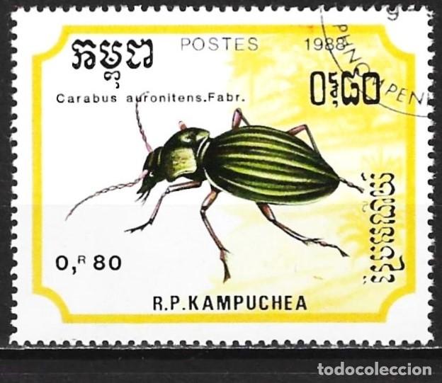Sellos: Kampuchea 1988 - Mi 971 - YT 832 - Insecto : Escarabajo