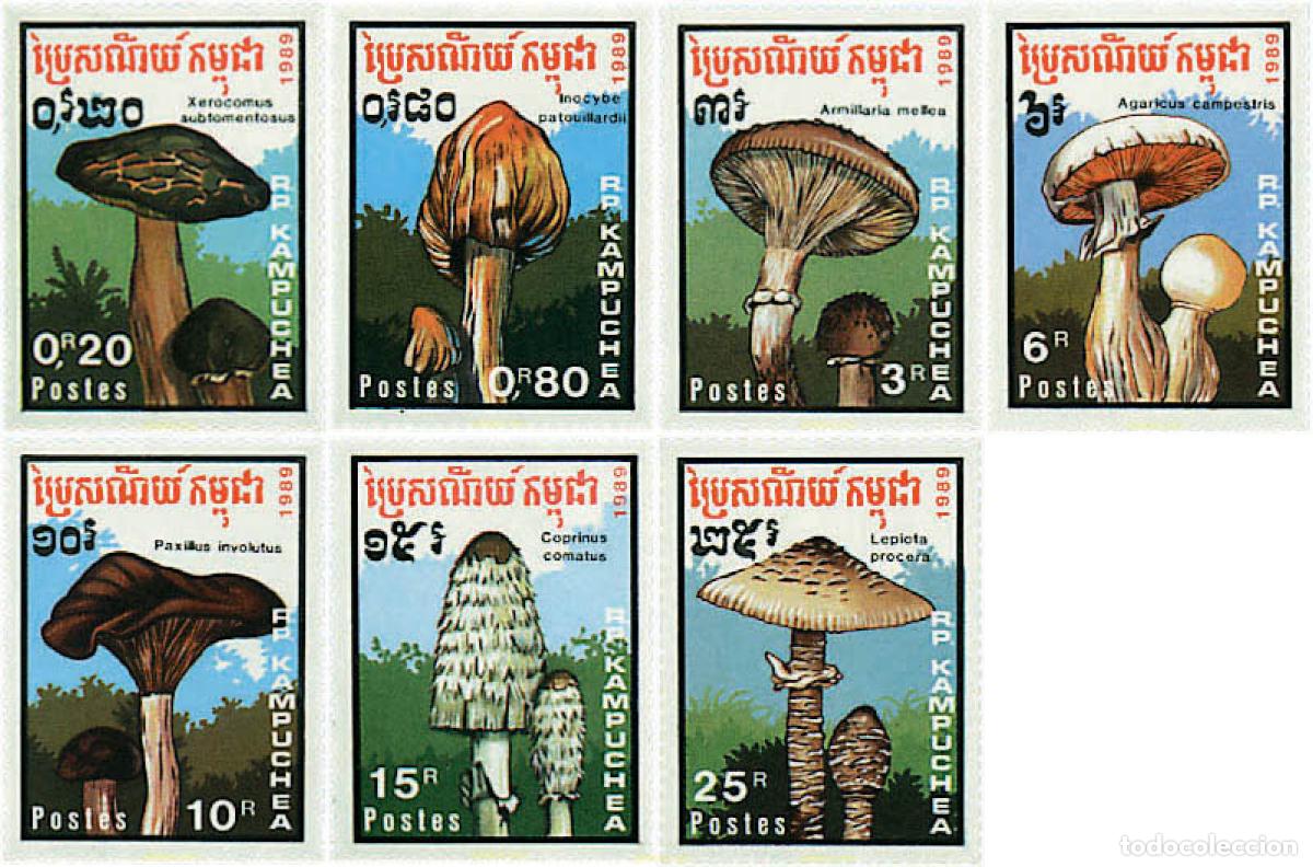 Briefmarken: 39773 MNH CAMBOYA KAMPUCHEA 1989 SETAS
