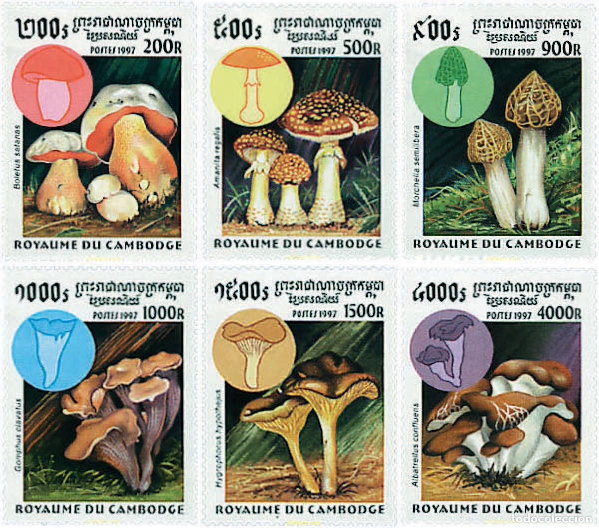 Sellos: 36187 MNH CAMBOYA 1997 SETAS
