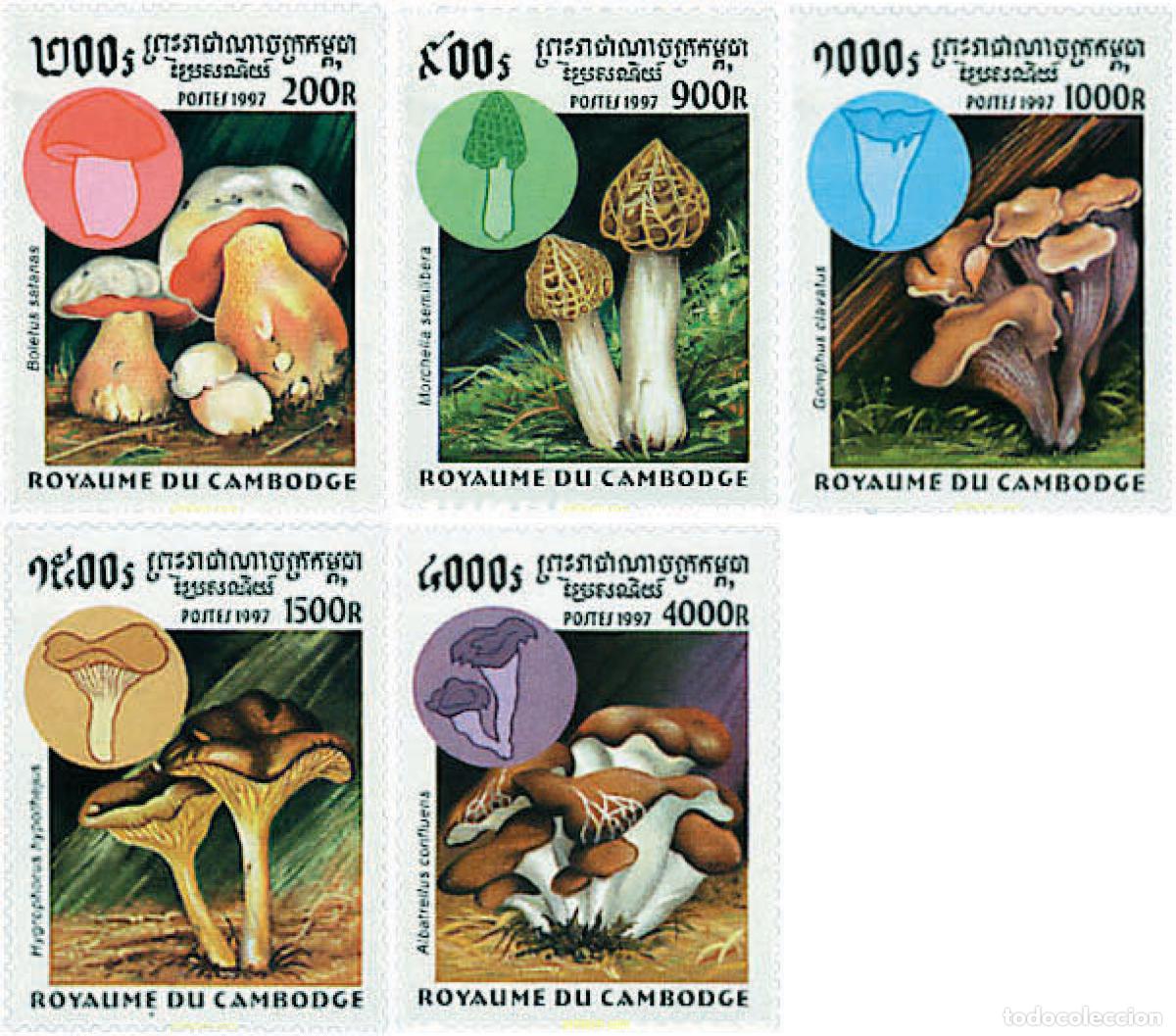 Sellos: 206673 MNH CAMBOYA 1997 SETAS