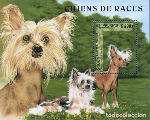 Sellos: 368647 MNH CAMBOYA 1996 PERROS DE RAZA