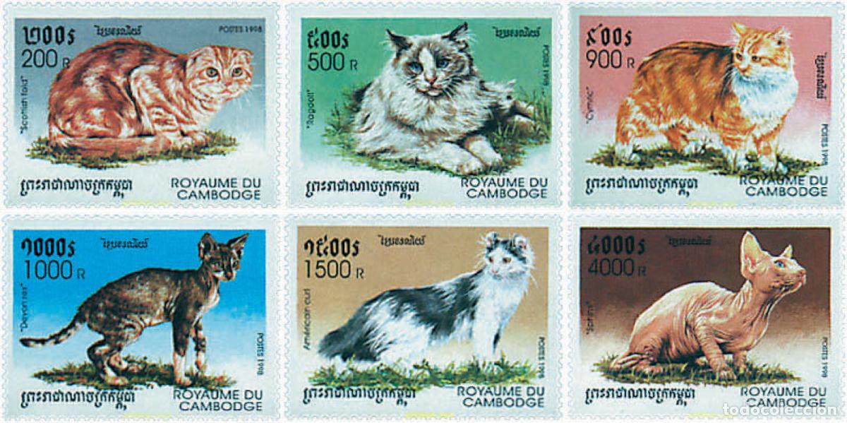 Sellos: 38011 MNH CAMBOYA 1998 GATOS