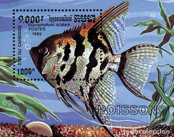 Sellos: 54574 MNH CAMBOYA 1992 PEZ