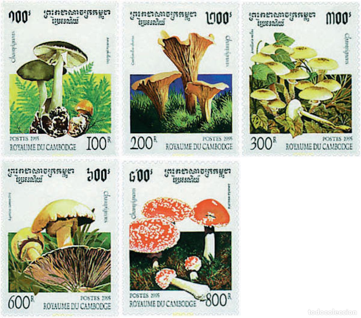 Sellos: 34908 MNH CAMBOYA 1995 SETAS