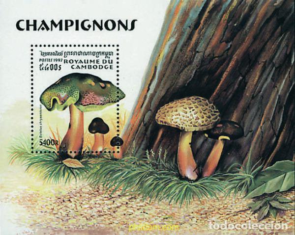 Francobolli: 35569 MNH CAMBOYA 1997 SETAS