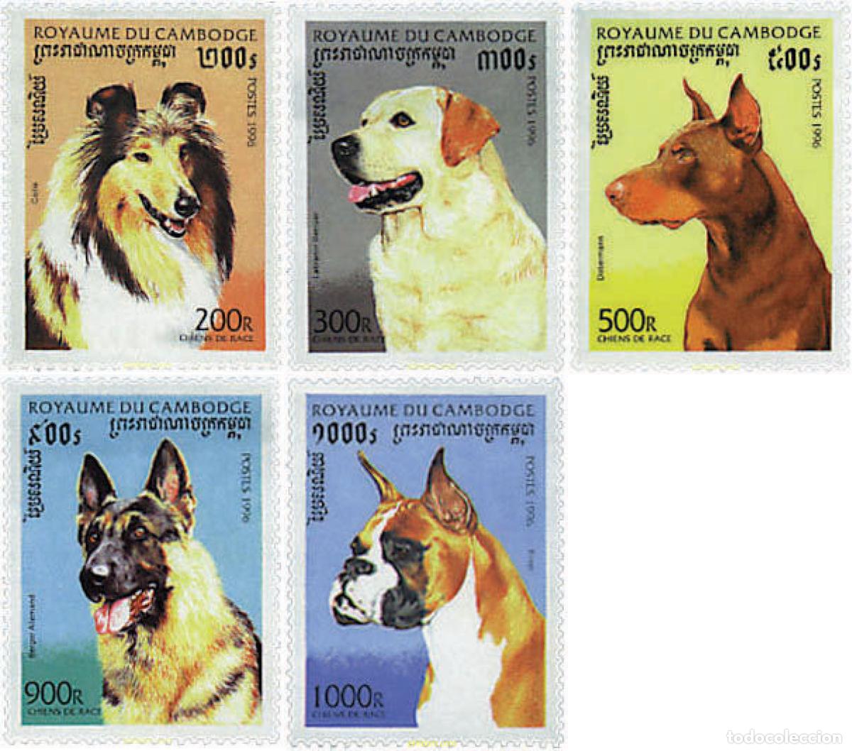 Briefmarken: 49275 MNH CAMBOYA 1996 PERROS DE RAZA
