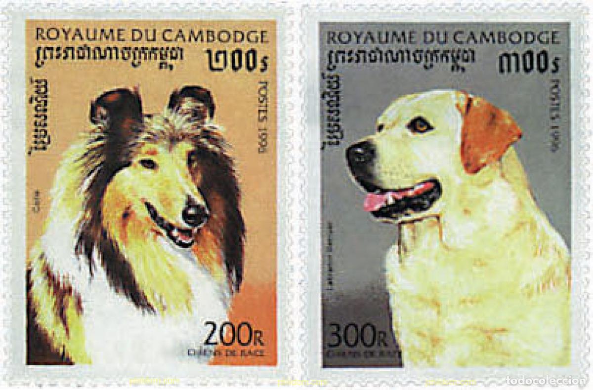 Briefmarken: 354434 MNH CAMBOYA 1996 PERROS DE RAZA