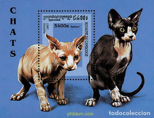 Sellos: 36058 MNH CAMBOYA 1997 GATOS