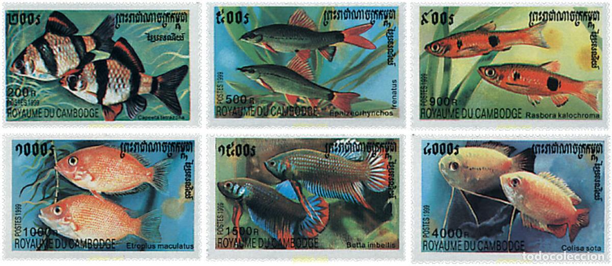 Sellos: 72010 MNH CAMBOYA 1999 PECES