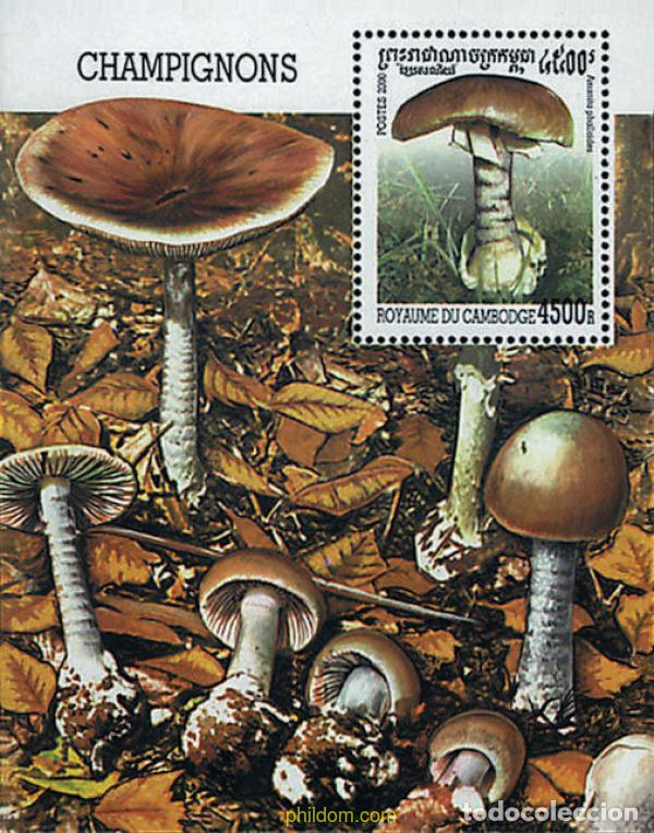 Sellos: 74168 MNH CAMBOYA 2000 SETAS