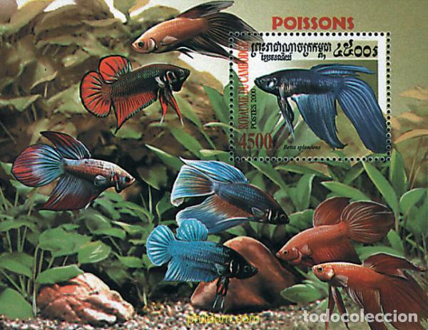 Sellos: 74160 MNH CAMBOYA 2000 FAUNA MARINA