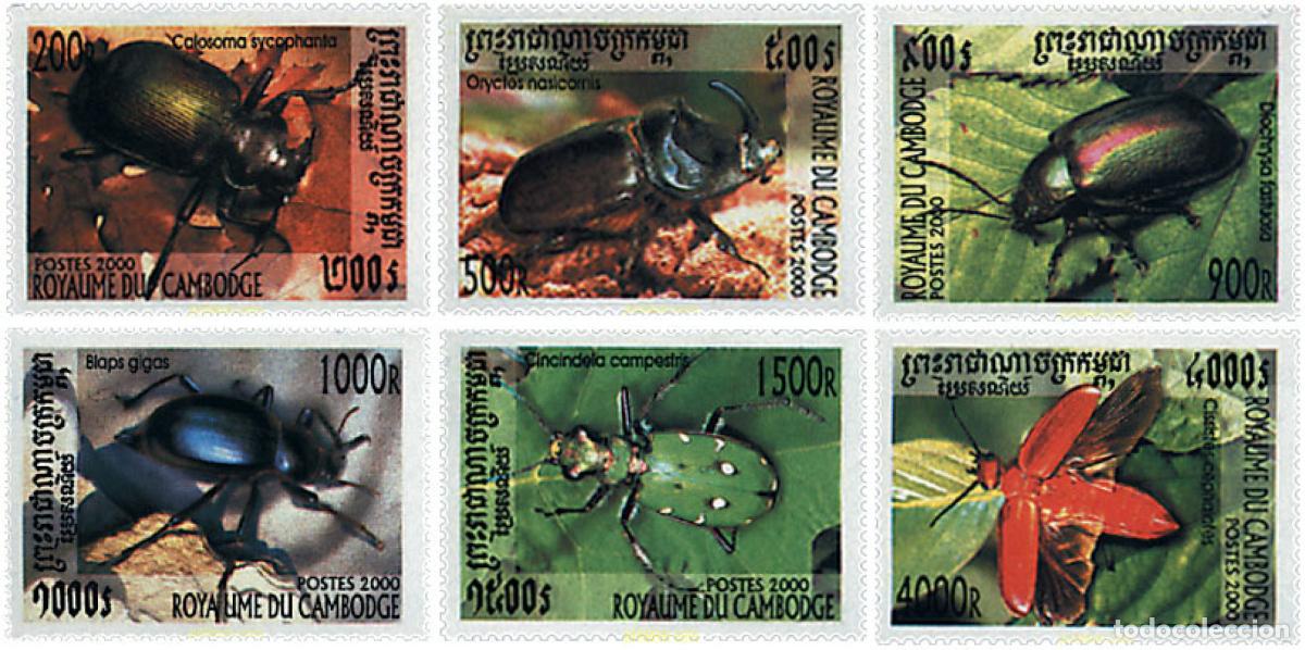 Sellos: 74163 MNH CAMBOYA 2000 COLEOPTEROS