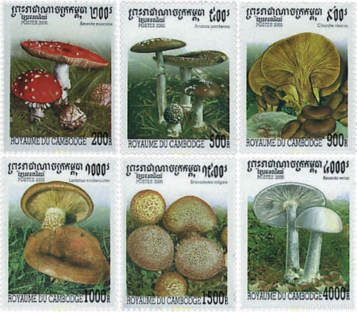 Sellos: 74167 MNH CAMBOYA 2000 SETAS